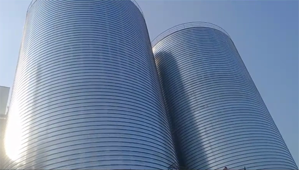 临潭2座混凝土高架卷板仓